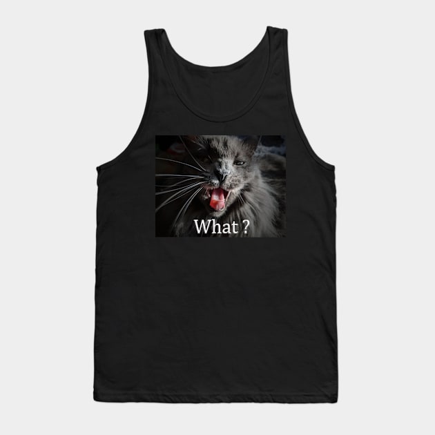 Funny "What" cat Tank Top by PandLCreations